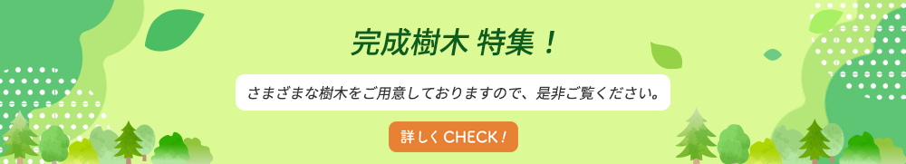 ピックアップ商品