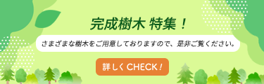 ピックアップ商品