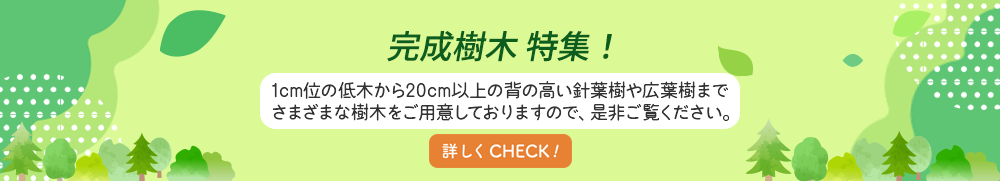 ピックアップ商品