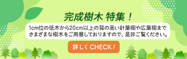 ピックアップ商品